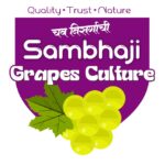 Sambhaji Grapes Culture